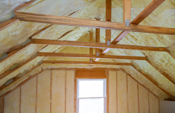 Best Specialized Insulation Services in Lawton, MI