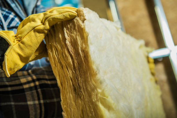 Best DIY Insulation Kits and Guidance in Lawton, MI