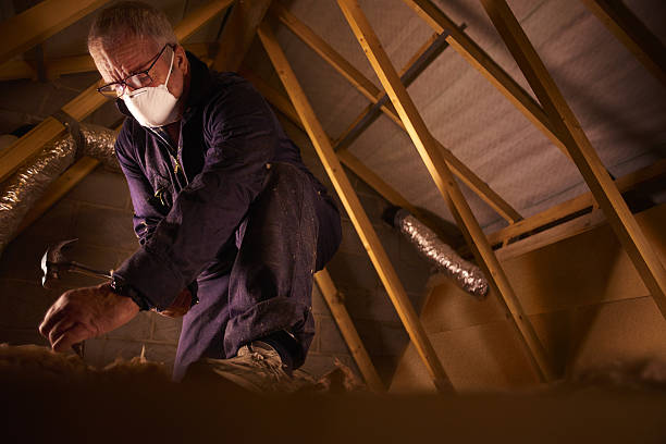 Best Energy Efficiency Insulation in Lawton, MI